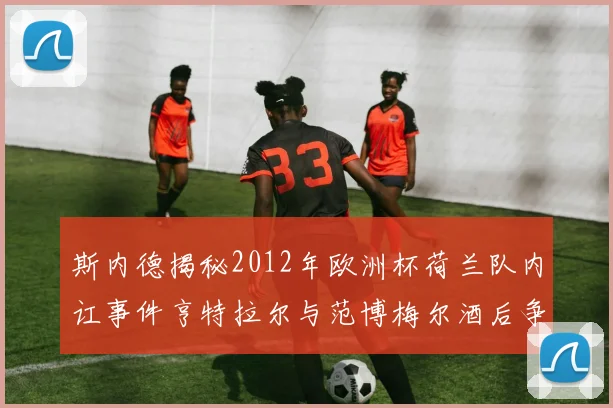 斯内德揭秘2012年欧洲杯荷兰队内讧事件亨特拉尔与范博梅尔酒后争执内幕